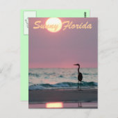 Sunny Florida Briefkaart (Voorkant / Achterkant)