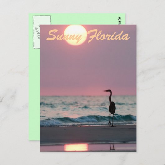 Sunny Florida Briefkaart (Voorkant / Achterkant)