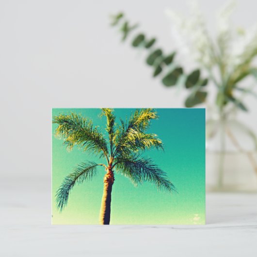 Sunny Florida Palm Tree Sky Afbeelding Briefkaart (Staand voorkant)