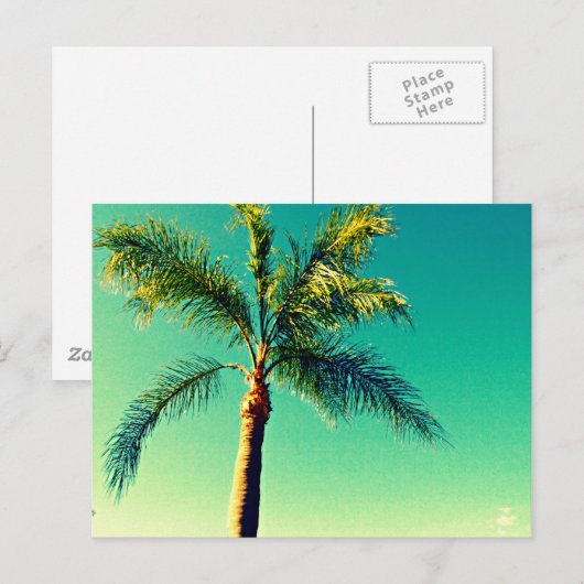 Sunny Florida Palm Tree Sky Afbeelding Briefkaart (Voorkant / Achterkant)