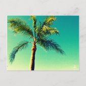 Sunny Florida Palm Tree Sky Afbeelding Briefkaart (Voorkant)