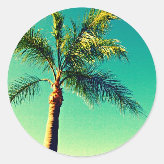 Sunny Florida Palm Tree Sky Afbeelding Ronde Sticker (Voorkant)