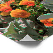 Sunny Flower Garden Poster (Hoek)