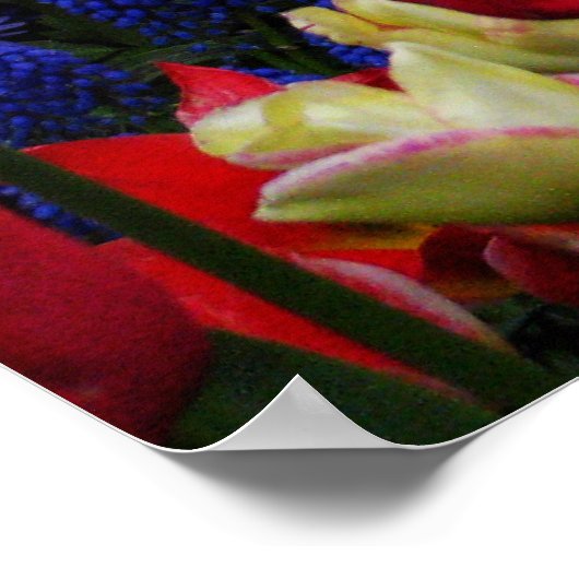 Sunny Garden Poster (Hoek)