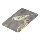 Sunny Goldfinch en Sunflower Magnet Magneet (Linkerzijde)
