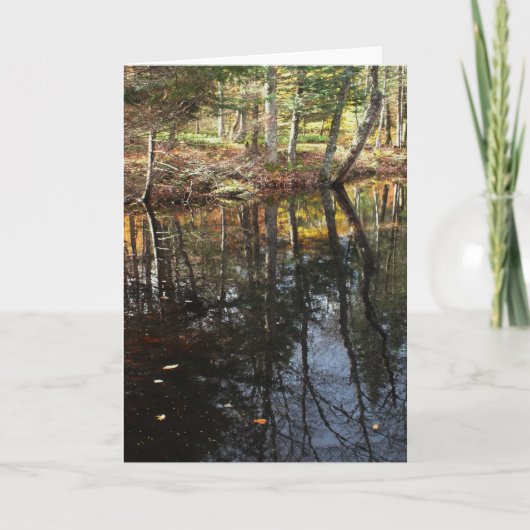"Sunny Herfst Day" Adirondack Forest and Trees Sce Kaart (Voorkant)