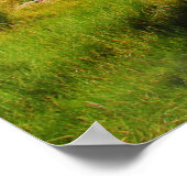 Sunny Hillside Poster (Hoek)