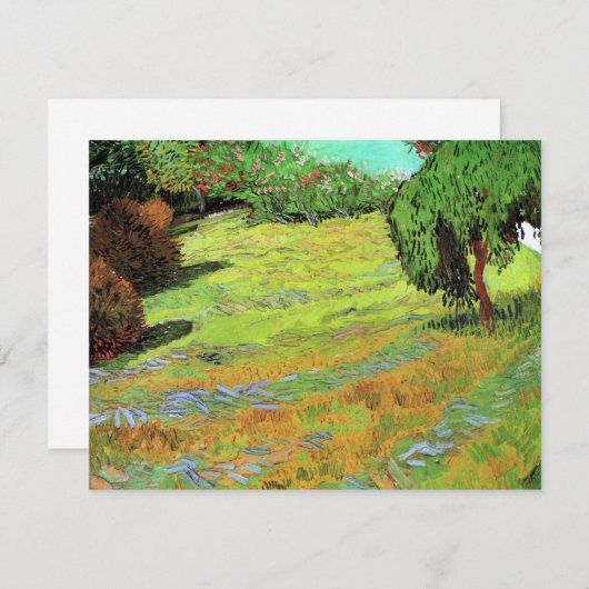 Sunny Lawn in een openbaar park door Vincent van G (Voorkant / Achterkant)