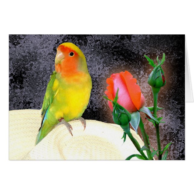 Sunny Lovebird (Voorkant Horizontaal)