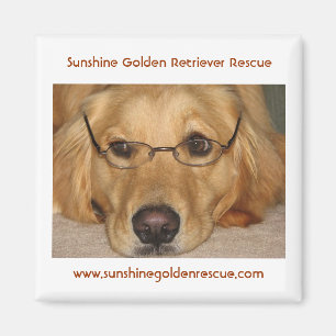 Sunny Magnet - Sunshine Golden Retriever Rescue...