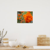 Sunny Marigold Poster (Keuken)