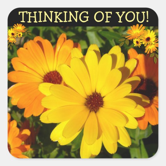 Sunny Marigold Thinking of You Vierkante Sticker (Voorkant)