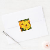 SUNNY MARIGOLDS VIERKANTE STICKER (Envelop)
