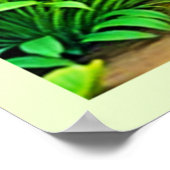 Sunny Natuur Path Art Poster (Hoek)