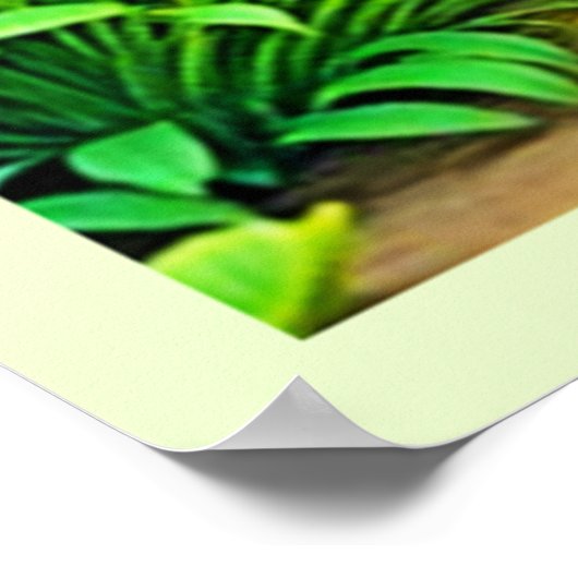 Sunny Natuur Path Art Poster (Hoek)