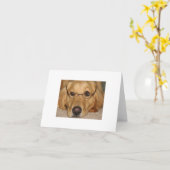 Sunny Note Kaart - Sunshine Golden Retriever Resc (Gele Bloem)