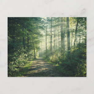 Sunny Oktober Morning in Hamburg Briefkaart