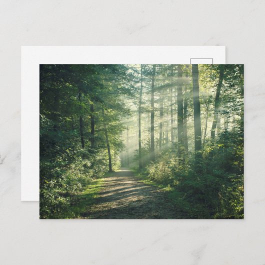 Sunny Oktober Morning in Hamburg Briefkaart (Voorkant / Achterkant)