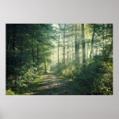 Sunny Oktober Morning in Hamburg Poster (Voorkant)