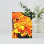 Sunny Oranje Marigolds Garden Flowers Briefkaart (Staand voorkant)