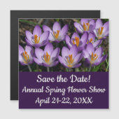 Sunny Paarse Crocuses (Voorkant / Achterkant)