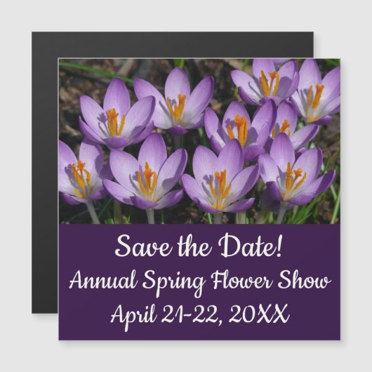 Sunny Paarse Crocuses (Voorkant / Achterkant)