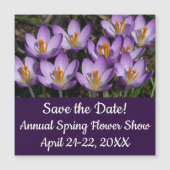 Sunny Paarse Crocuses (Voorkant)