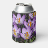 Sunny Paarse Crocuses Blikjeskoeler (Blikje Achterkant)