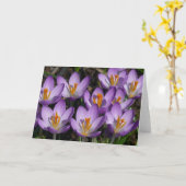 Sunny Paarse Crocuses Kaart (Gele Bloem)