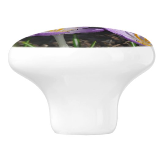 Sunny Paarse Crocuses Keramische Knop (Zijkant)