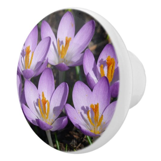 Sunny Paarse Crocuses Keramische Knop (Rechts)