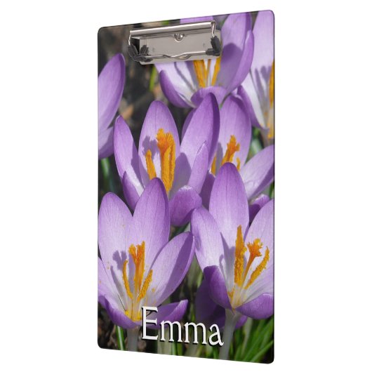 Sunny Paarse Crocuses Klembord (Links)