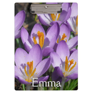 Sunny Paarse Crocuses Klembord