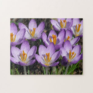 Sunny Paarse Crocuses Legpuzzel