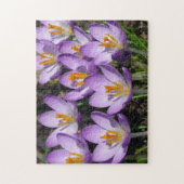 Sunny Paarse Crocuses Legpuzzel (Verticaal)
