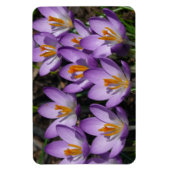 Sunny Paarse Crocuses Magneet (Verticaal)