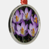 Sunny Paarse Crocuses Metalen Ornament (Rechts)