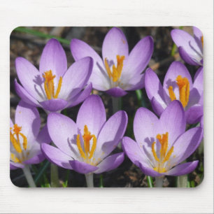 Sunny Paarse Crocuses Muismat