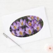 Sunny Paarse Crocuses Ovale Sticker (Envelop)
