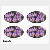 Sunny Paarse Crocuses Ovale Sticker (Vel)
