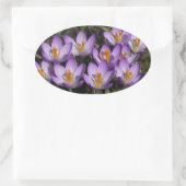 Sunny Paarse Crocuses Ovale Sticker (Tas)