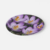 Sunny Paarse Crocuses Papieren Bordje (Gekanteld)
