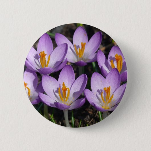 Sunny Paarse Crocuses Ronde Button 5,7 Cm (Voorkant)