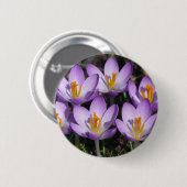 Sunny Paarse Crocuses Ronde Button 5,7 Cm (Voorkant /achterkant)