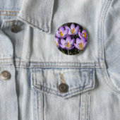 Sunny Paarse Crocuses Ronde Button 5,7 Cm (In situ)