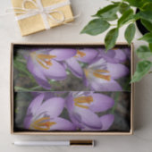 Sunny Paarse Crocuses Tissuepapier (Geschenk)
