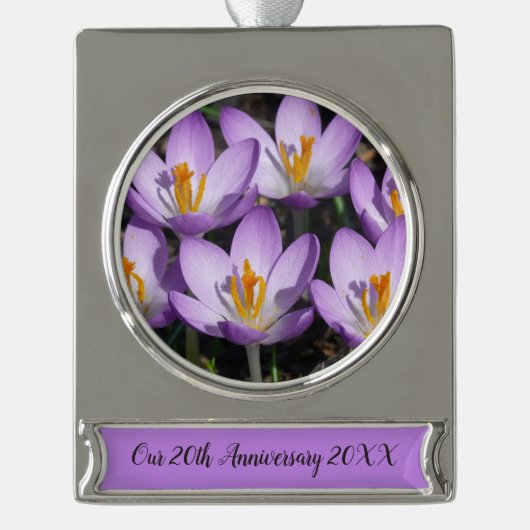 Sunny Paarse Crocuses Verzilverd Banner Ornament (Voorkant)