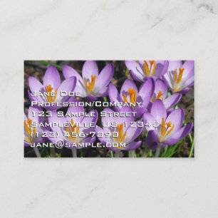 Sunny Paarse Crocuses Visitekaartje