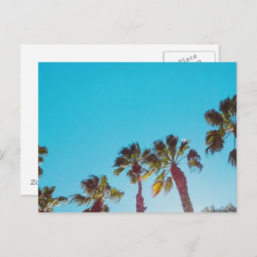 Sunny Palms Briefkaart (Voorkant / Achterkant)