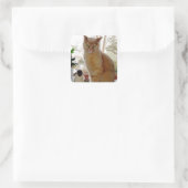 Sunny Papoochie Stickers (Tas)